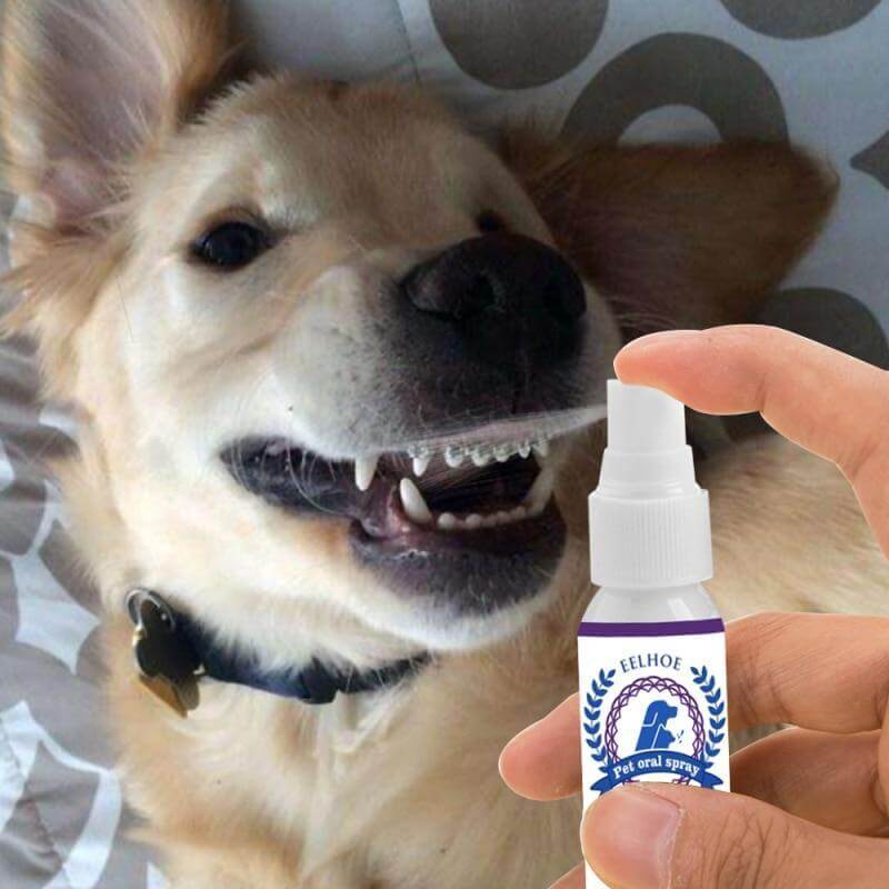 Spray Oral Eliminador de Tártaro e Mau Hálito Pet